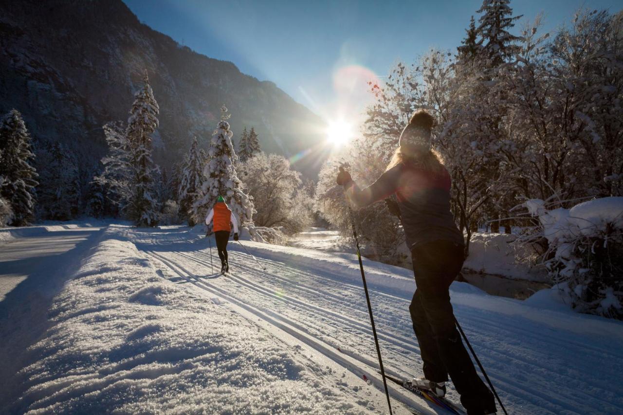 Chalet Happy Family, Secluded Location, 15 Min To Salzburg And Just Short To T Lakes Sound Of Music, Bbq&Bikes&Sunbeds For Free, Up To 14P Golling an der Salzach Exteriér fotografie