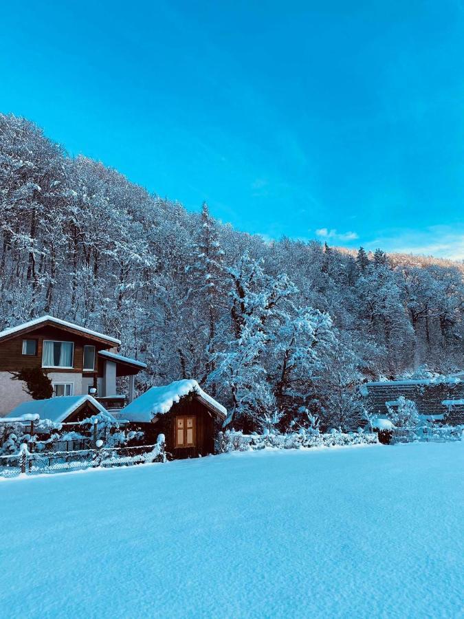 Chalet Happy Family, Secluded Location, 15 Min To Salzburg And Just Short To T Lakes Sound Of Music, Bbq&Bikes&Sunbeds For Free, Up To 14P Golling an der Salzach Exteriér fotografie