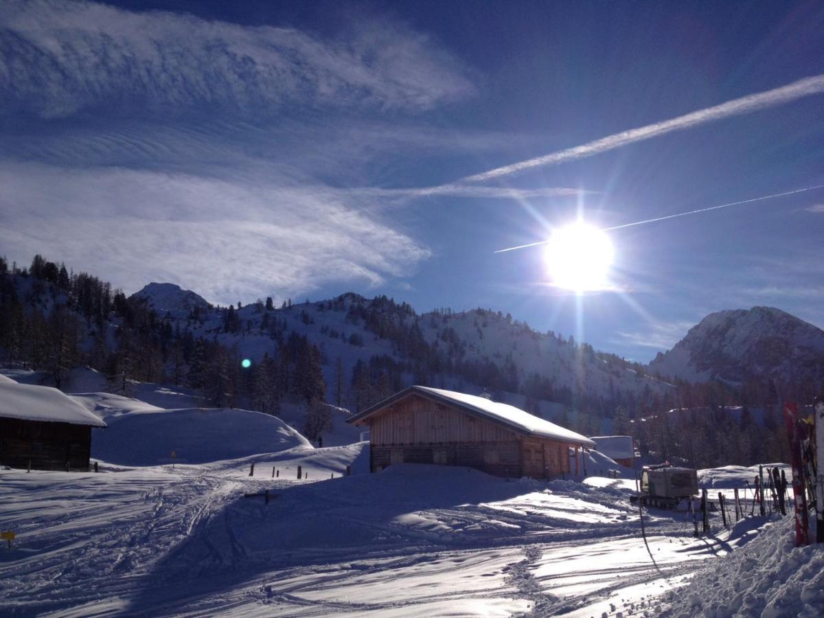 Chalet Happy Family, Secluded Location, 15 Min To Salzburg And Just Short To T Lakes Sound Of Music, Bbq&Bikes&Sunbeds For Free, Up To 14P Golling an der Salzach Exteriér fotografie
